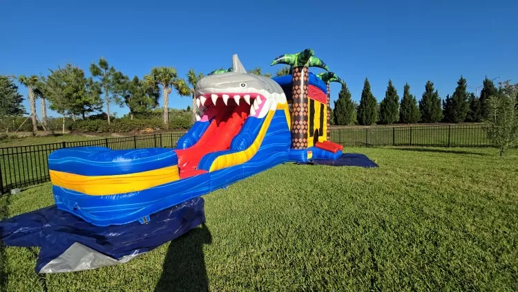 water slide bounce house in  Wimauma